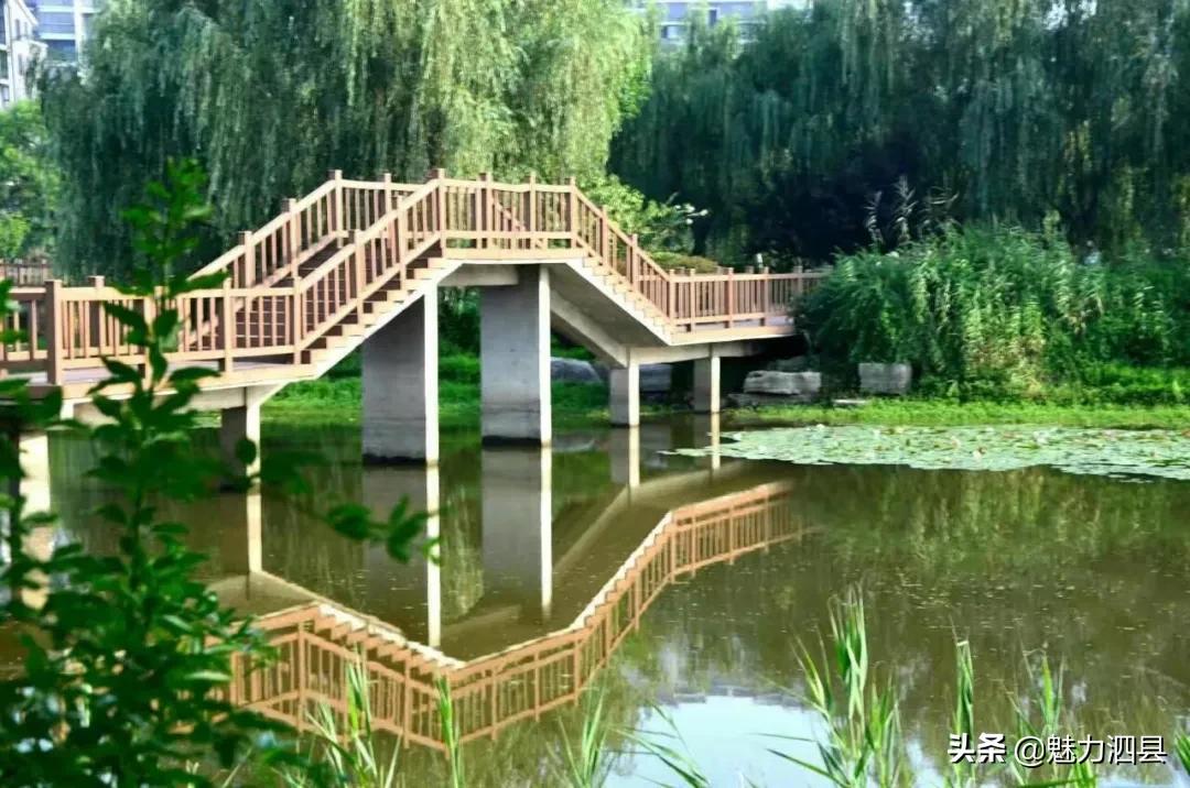 全国文明县城泗县,2024年泗县评上文明城市了吗