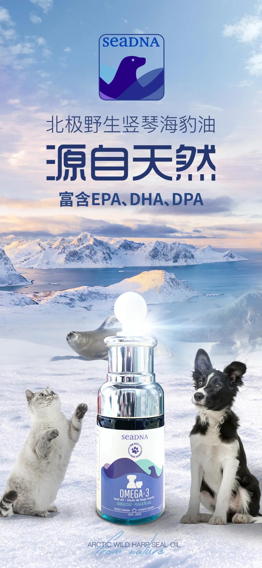 seadna海豹油代理,seadna海豹油