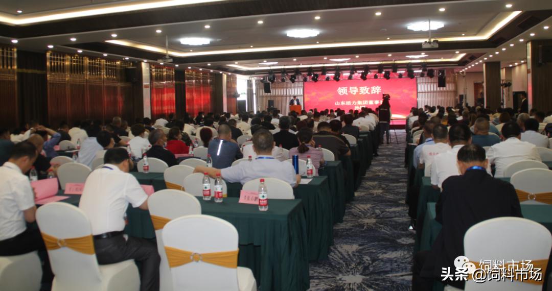 山东活力集团青岛,活力集团新品发布会