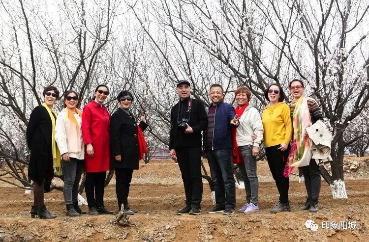 晋城哪里可以春游,晋城附近春游景点