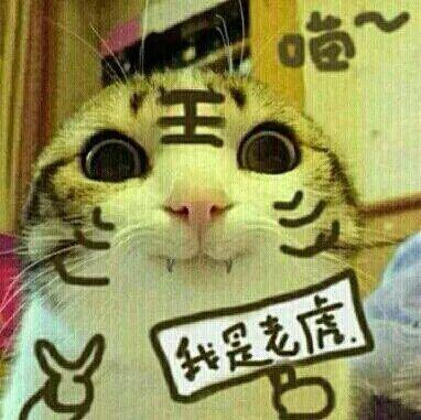 大连齿医生口腔正畸,大连齿医生口腔可靠吗
