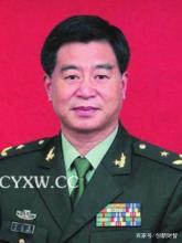 崇阳的将军,崇阳将军