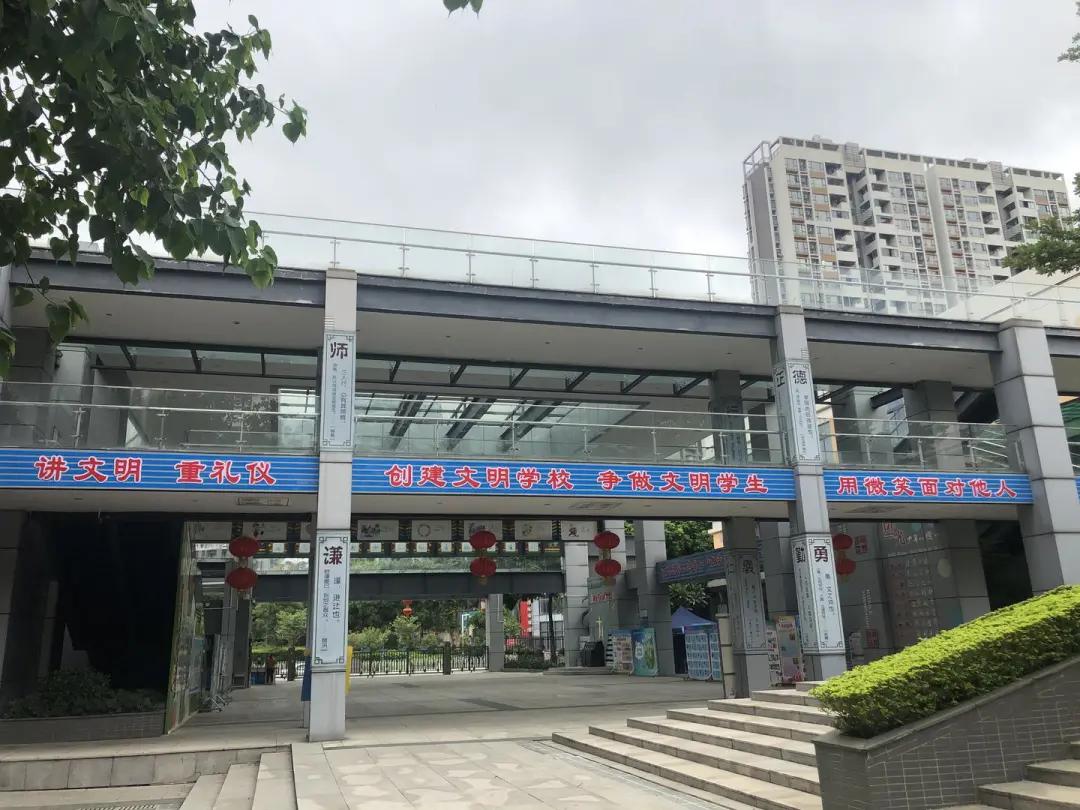 桂城2所小学上榜​广东省文明校园先进学校名单！