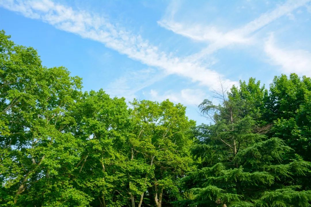 全国第一！华中农业大学真是太太太牛了
