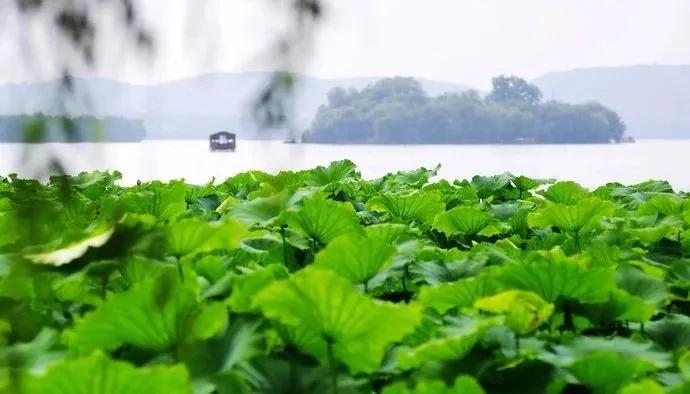 机票白菜价140元起全国各地出发,广州出发机票低至1折起