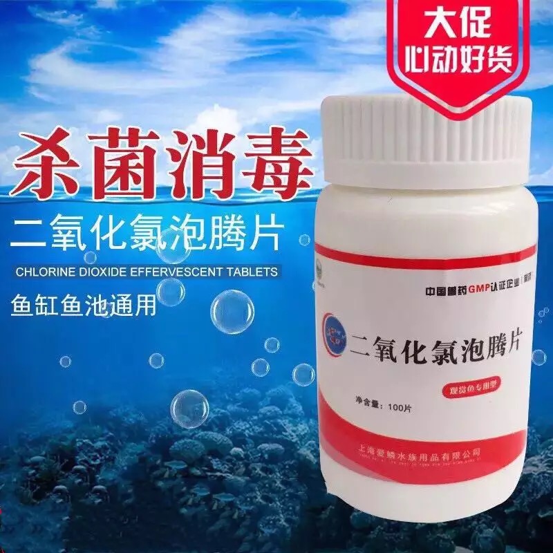 鱼缸养锦鲤鱼的方法和技巧,鱼缸新手养锦鲤鱼的正确方法