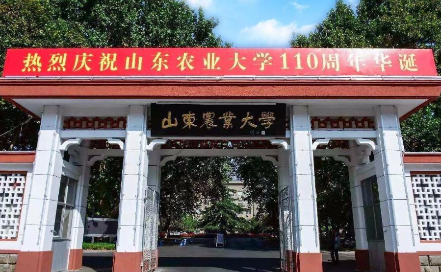 山东大学新校区开始建设了吗,山东大学新校区最新进展