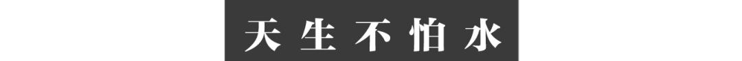 全红婵14岁拿到世界冠军,全红婵14岁拿奥运冠军破纪录