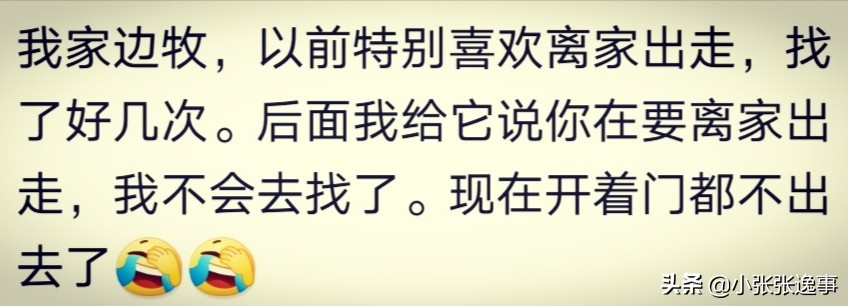 狗狗太肥了怎么才能给它减肥呢,爷爷说狗狗太胖了要减肥