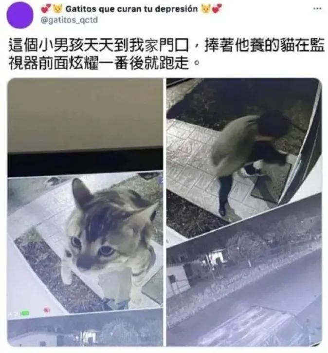 男团成员下海成女主、鹤与人类成真夫妻，今年沙雕新闻也太卷了吧