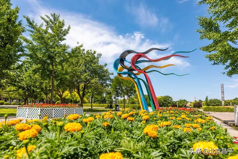 北京庆七一花坛摆放图片,北京长安街迎国庆立体花坛亮相