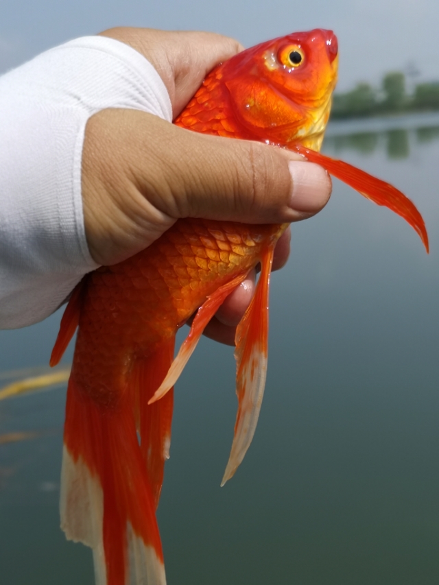 鍛ㄦ湯蹇箰鍨傞挀,鍛ㄦ湯蹇箰鍨傞挀瑙嗛
