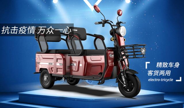 宝岛载人电动三轮车,宝岛最新老年代步三轮车