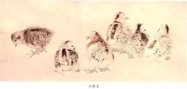 苏百钧工笔国画教学视频,苏百钧花鸟白描画稿