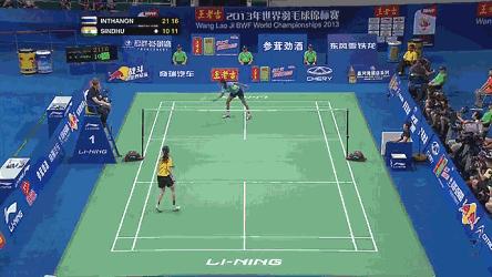 金秋诗画（学羽精华33.发力技巧）