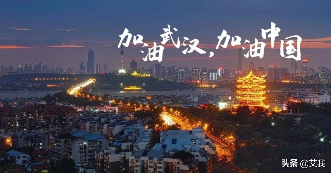 今日头条捐款5亿,今日头条捐款数量