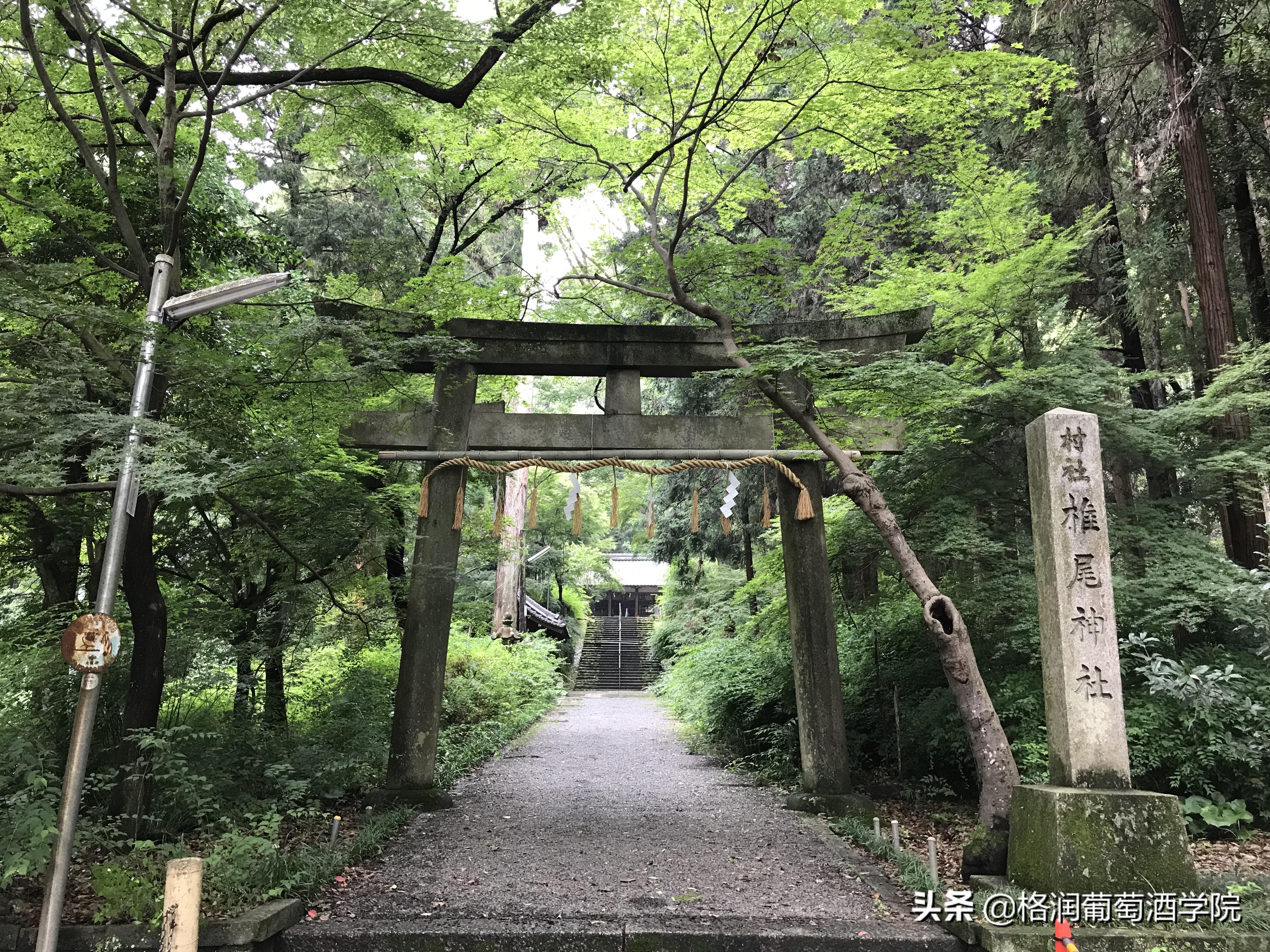 山崎威士忌官方网站,山崎威士忌辨别真伪