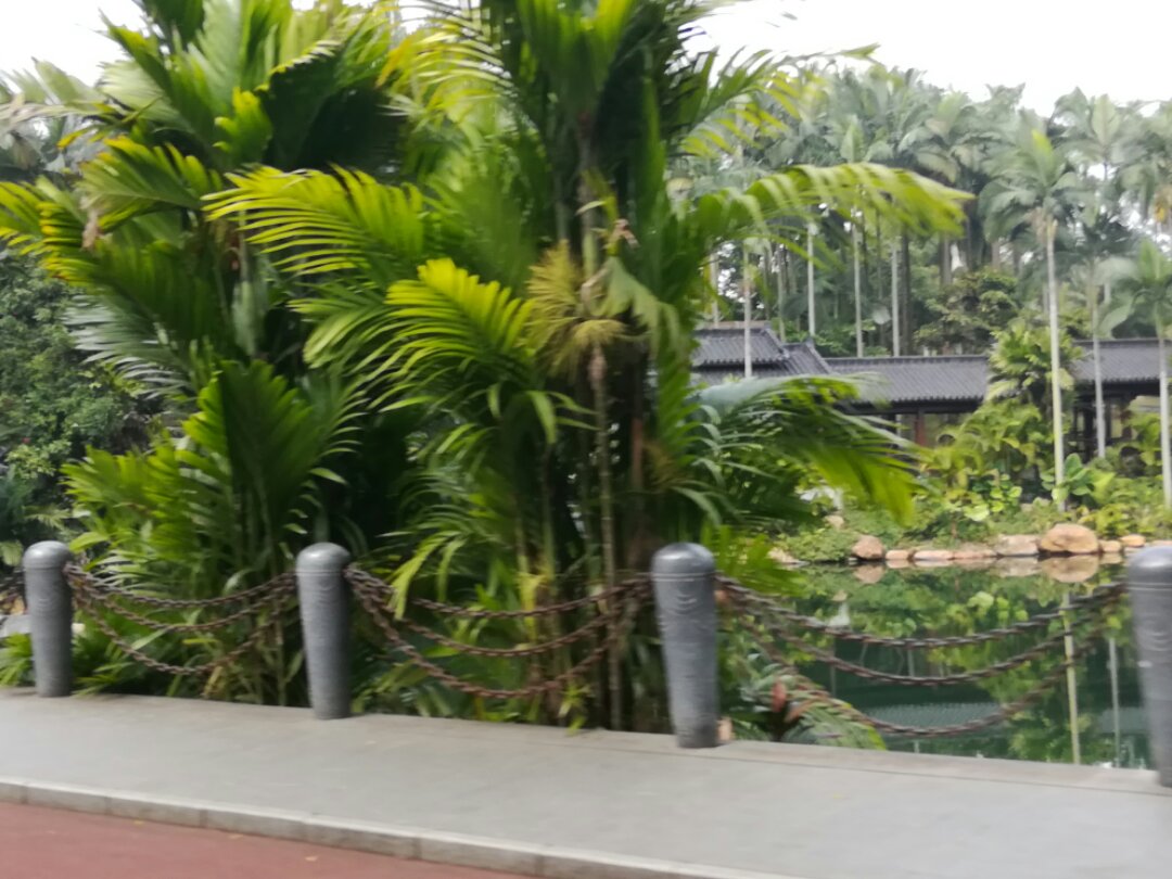 青秀山奇幻之旅,南宁2022奇妙之旅