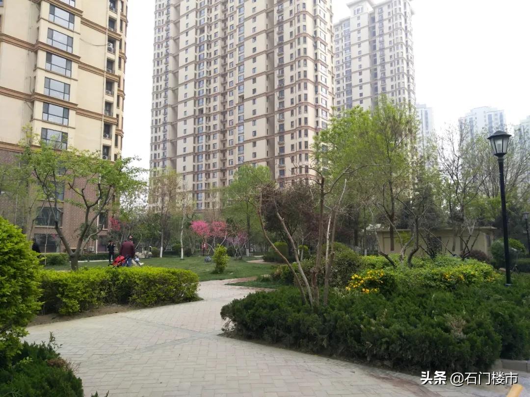 实地探访红盘交房后真实一面,解密热销红盘背后的生活理想