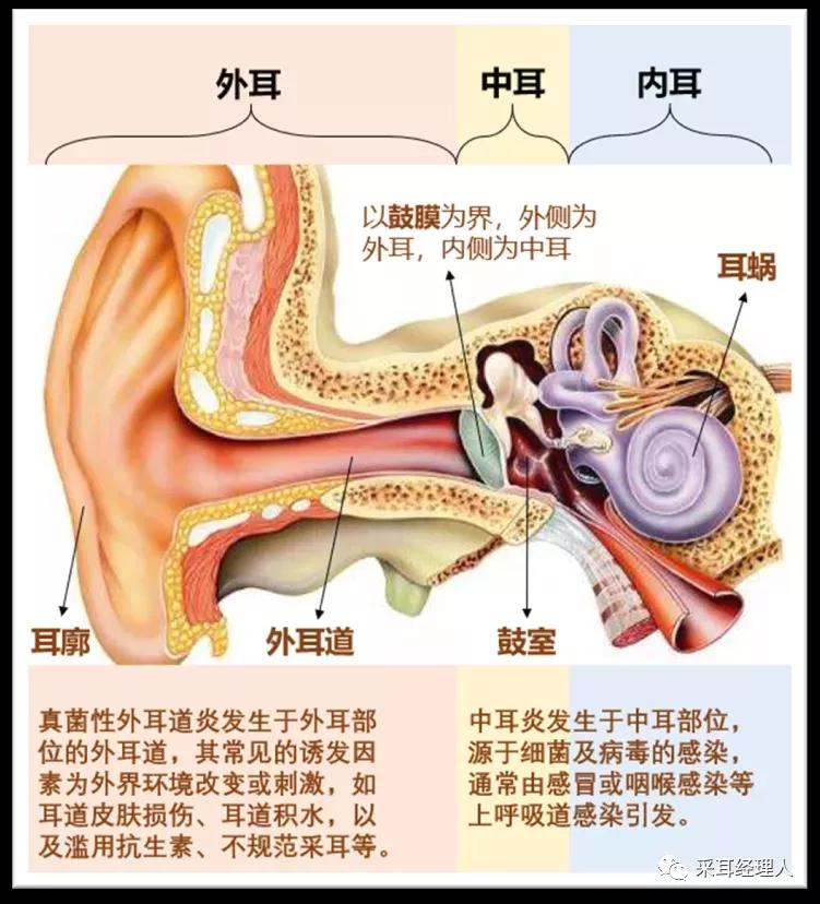 采耳师遇到顾客怎么办,采耳师遇到客人难搞怎么办