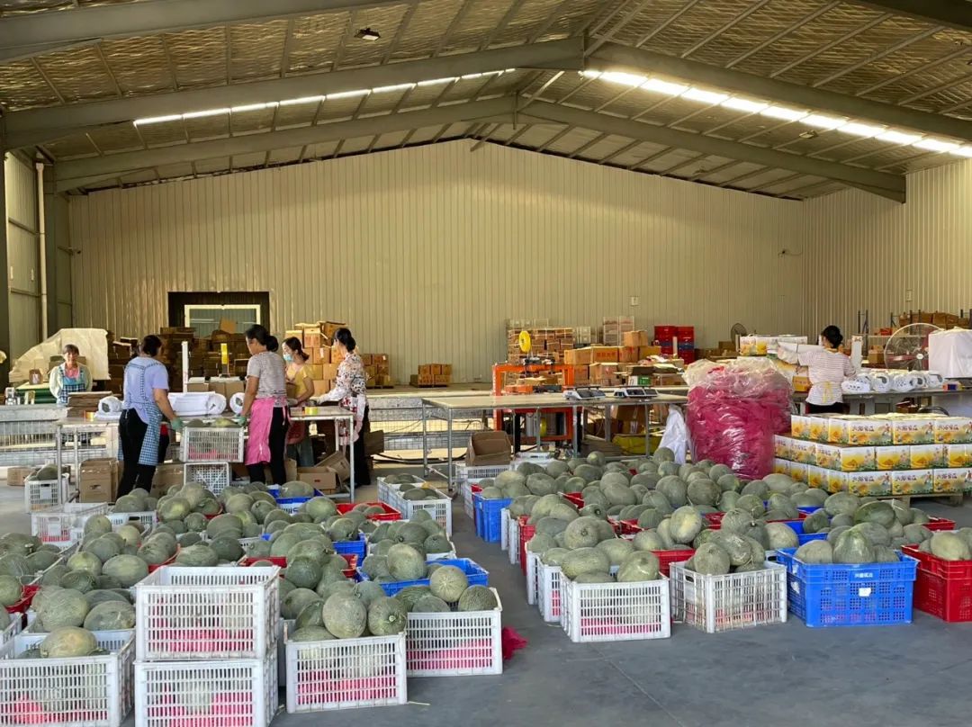 *疆新**农产品电商出疆，首选这里“中转”