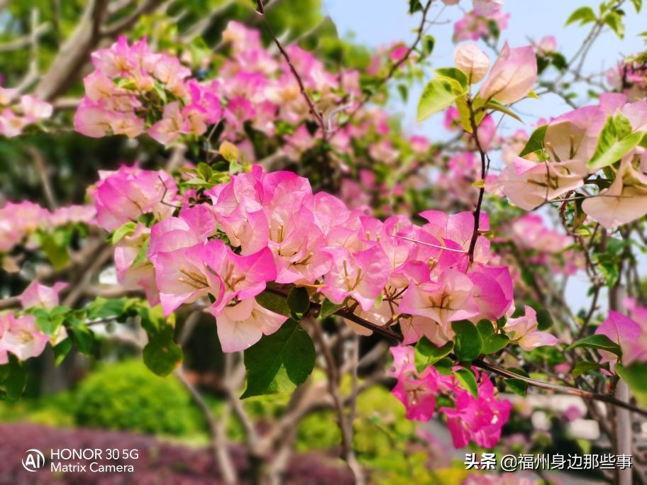 福州露营休闲放松好去处,福州温泉景区