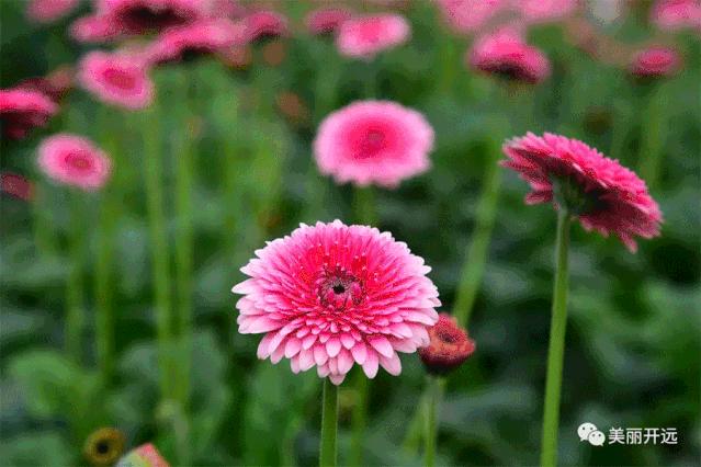 2019年，时光写就这样的开远