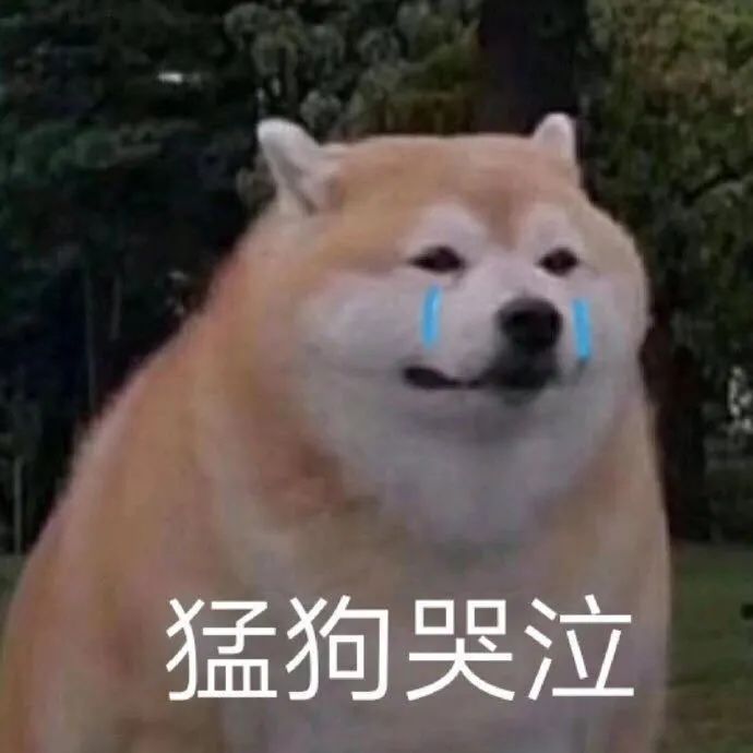 飞轮海5566成员名称,5566飞轮海同台
