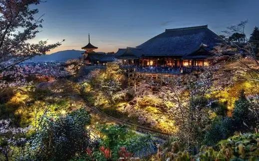 日本樱花最好的民宿,日本樱花田园旅游攻略