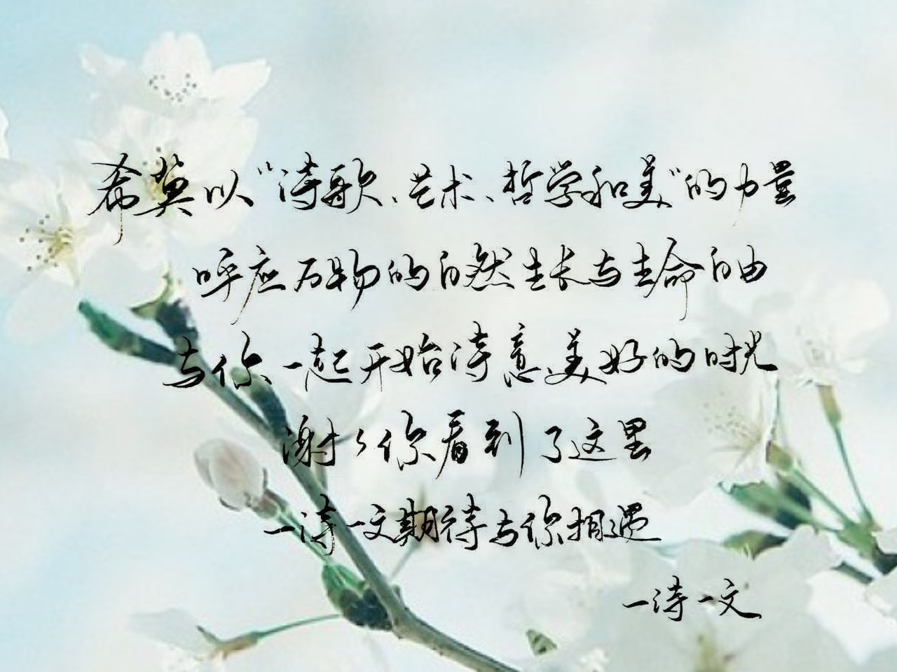 思念一个人的滋味就像喝冷的水,思念一个人就像喝了一杯冰冷的水