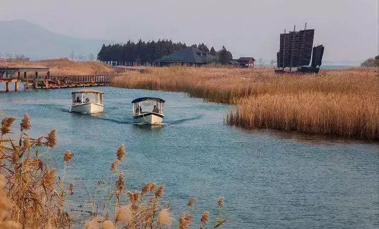 太湖旅游形象代言人,太湖鼋头渚风景区代言人