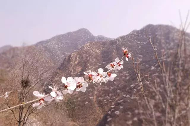 “桃花运”太好是种怎样的体验？