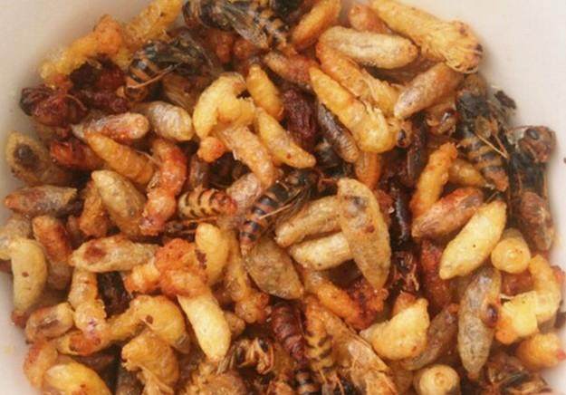 农村常吃的十种虫子,中国可以吃的六种虫子你敢吃吗