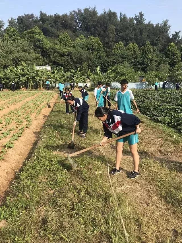 广州市第五中学是重点高中吗,广州市第五中学位置在哪里