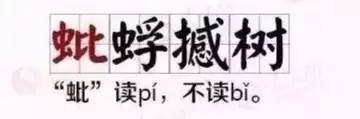 小学语文常考的成语造句,小学语文常考成语造句和易错成语