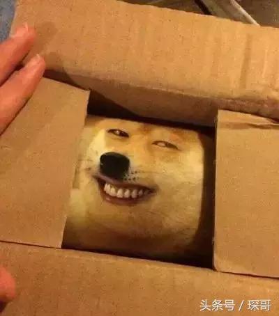 看到这些雷人的快递包装，我的内心是崩溃的！