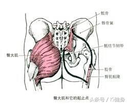 kiki健身身材,kiki健身腿部肌肉