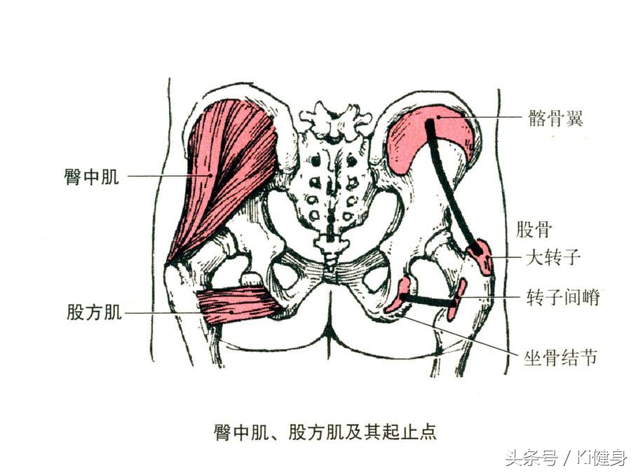 kiki健身身材,kiki健身腿部肌肉