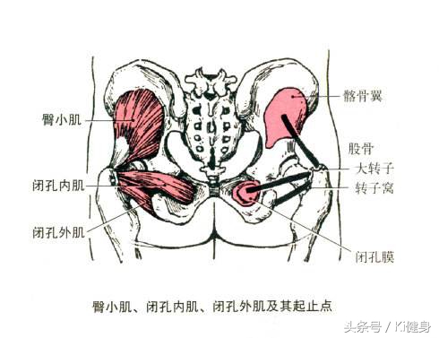kiki健身身材,kiki健身腿部肌肉