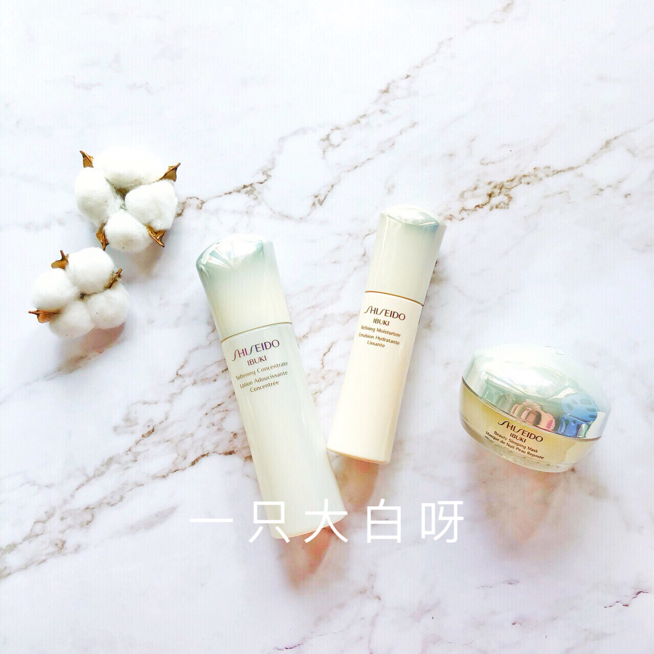 资生堂水润无瑕零粉感,资生堂新透白美肌焕采隔离乳