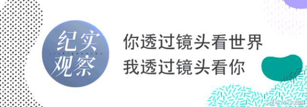 抵抗“惯性”很重要，纪录片选题的国外经验先看节展