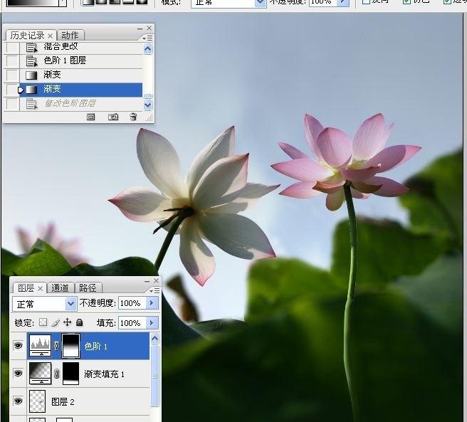 拍荷花用ps做成水墨画方法,ps怎样将拍的荷花p得漂亮免费教程