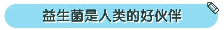 市面上各种益生菌有用吗,关于益生菌你家宝宝用对了吗