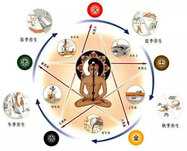 天然中草药护肤的优势,中草药护肤领域