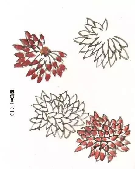 怎样画菊花的最简单画法,怎么样画菊花简单画法