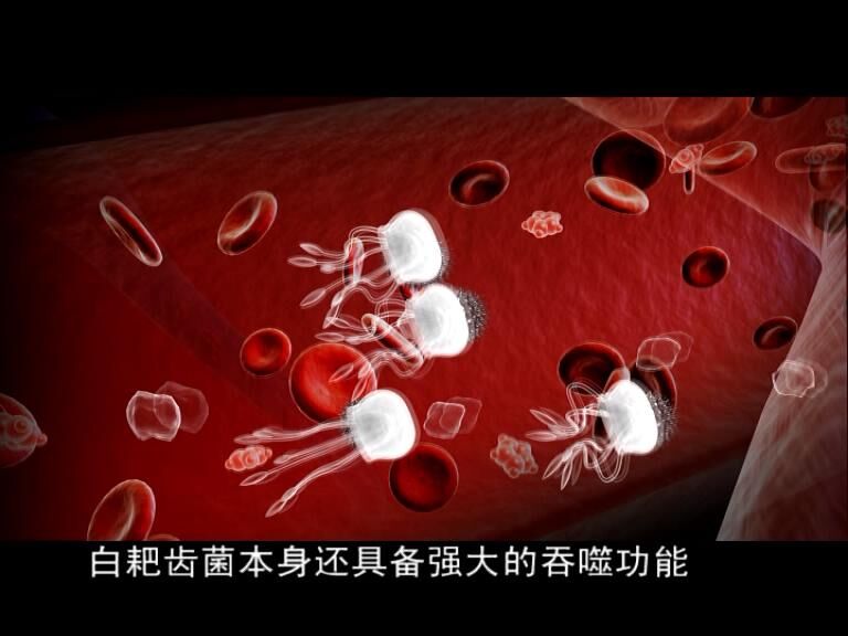 尿毒清降肌酐3个方法很灵,降肌酐尿酸最好的方法