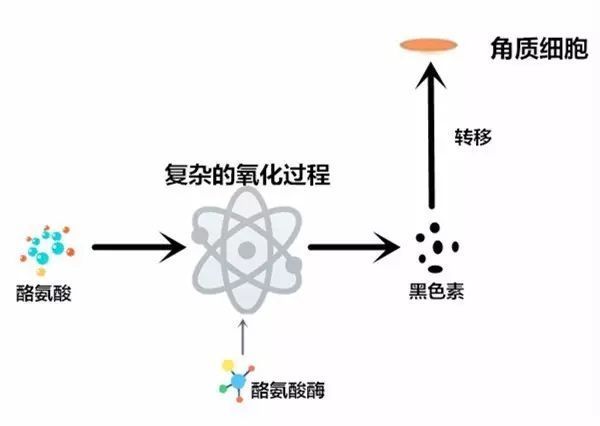 用了vc护肤品是不是不能见光,晚上涂了vc还需要抹其他护肤品吗