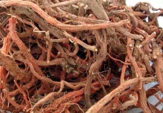 石家庄国家商标注册官网,石家庄商标类别推荐哪家