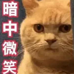 人格分裂？微博微信两个世界两个人？