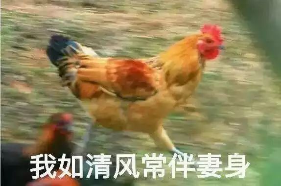 震惊！这群人竟然生吃鸡肉！